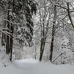Dom Na Pstraznicy Kudowa-Zdrój