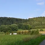 펜션 Dom Na Pstraznicy