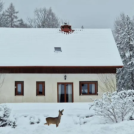 Holiday home Dom Na Pstraznicy