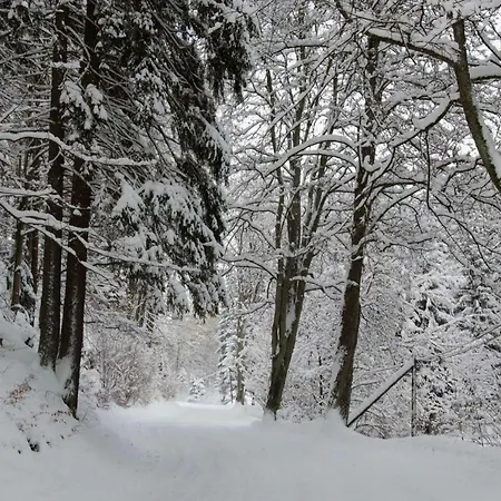 Dom Na Pstraznicy Kudowa-Zdrój