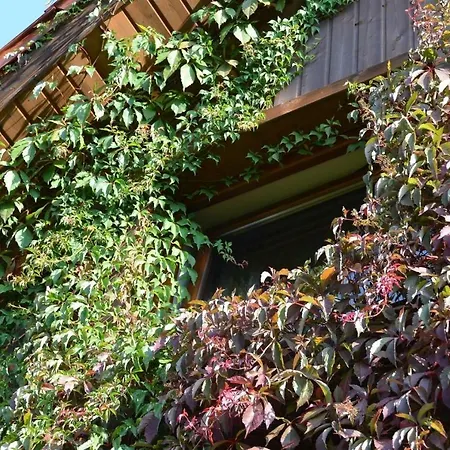 Dom Na Pstraznicy Tatil Evi