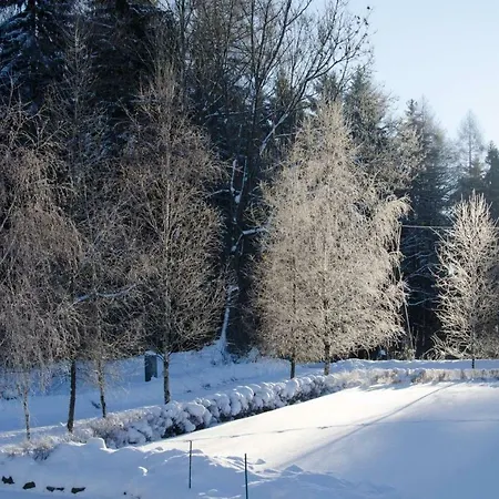 Dom Na Pstraznicy Holiday home Kudowa Zdroj