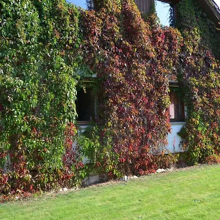 Holiday home Dom Na Pstraznicy