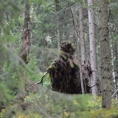 Tatil Evi Dom Na Pstraznicy