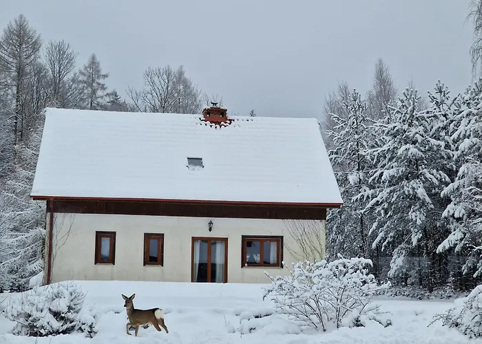 度假居 Dom Na Pstraznicy 库多瓦-兹德鲁伊