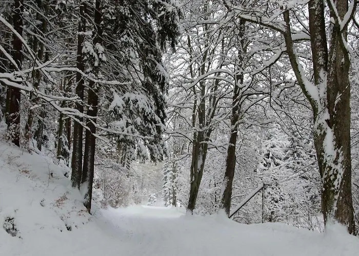 Dom Na Pstraznicy 쿠도바-즈루이