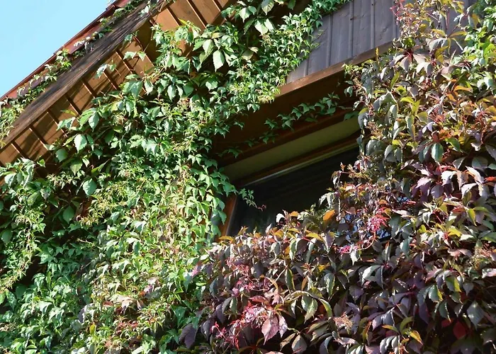 Dom Na Pstraznicy 度假居