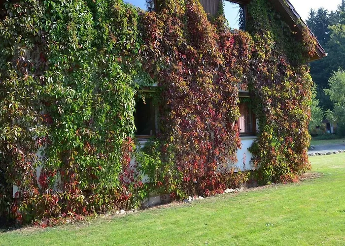 펜션 Dom Na Pstraznicy