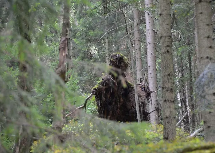 度假居 Dom Na Pstraznicy